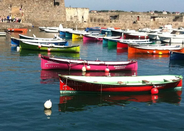 House St Pee Sur Nivelle *